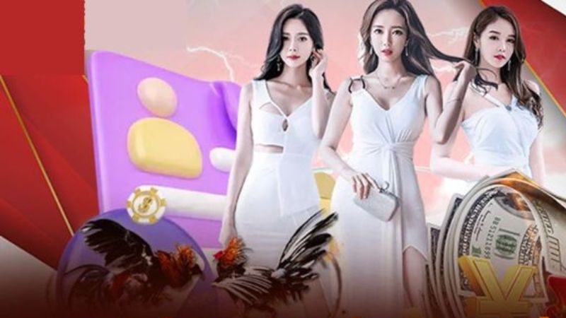 Mã hóa SSL và bảo vệ giao dịch tài chính